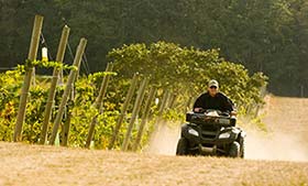 Driving a four wheeler ATV through the vineyard, Emerson Vineyard